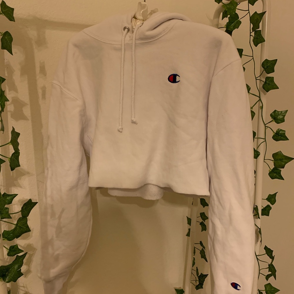 Champion Cropped Hoodie
